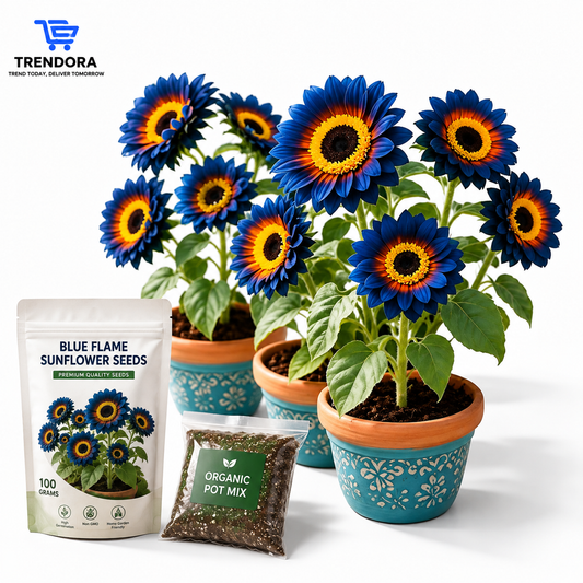 Blue Flame Sunflower Seeds + 100 Grams Organic Pot Mix Free